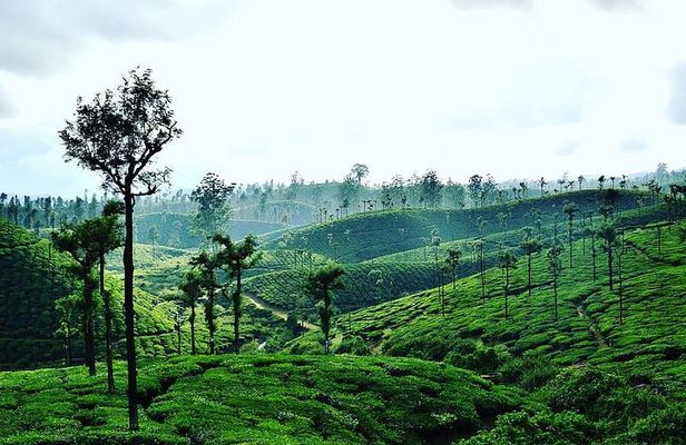 Hill Station Tour from Coimbatore to Valparai - 2 days