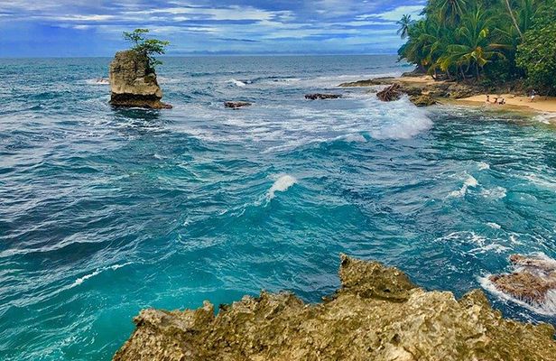 Gandoca - Manzanillo Trail & Great Green Macaw Tour