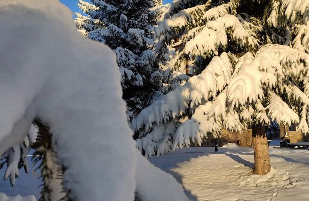 Private Snowshoeing Vitosha for 1 day