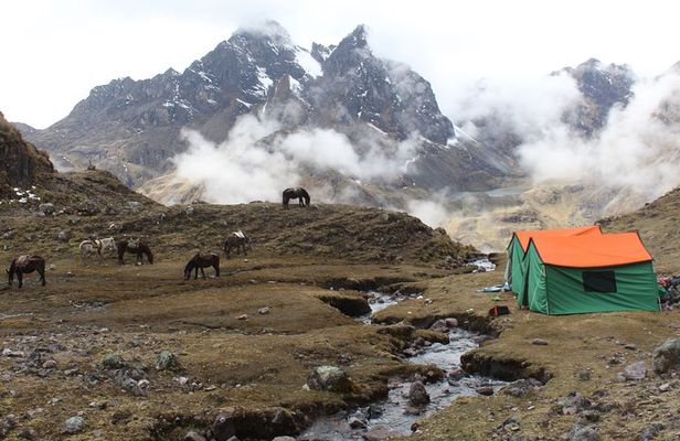 Lares Tour to Machu Picchu (8 Days)