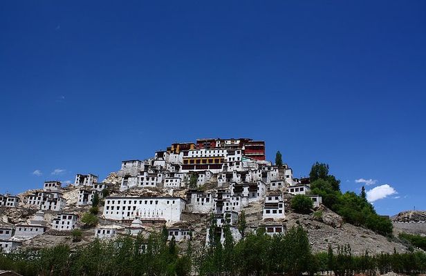 Full Day Leh Monasteries Tour (Shey, Thiksey & Hemis)