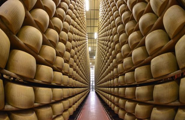 From Parma: Parmigiano Reggiano Farm Tour & Tasting with Transfer