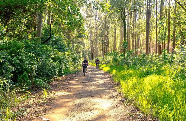 The Train Track Trail Mountain Bike Ride - Private experience