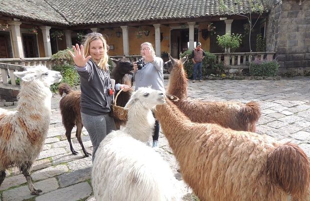 Cotopaxi National Park and Inca Ruins Day Trip