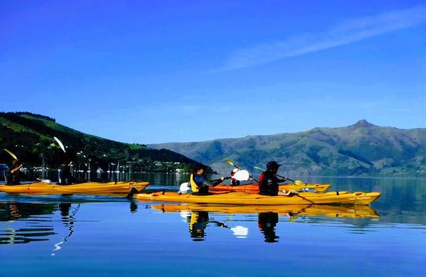Electric Mountain Bike & Sea Kayak Tour in Akaroa