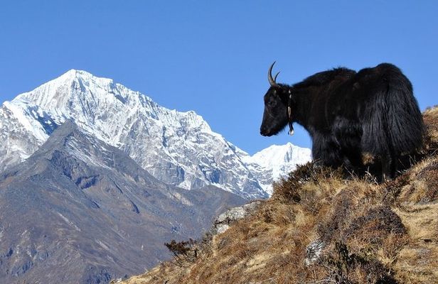 Pikey Peak Trek Everest View