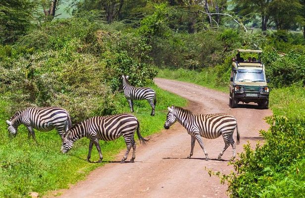 Tarangire National Park