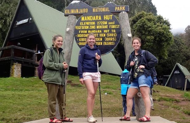 Mount Kilimanjaro Day Hike