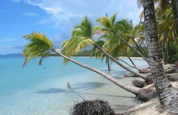 Rum Tasting plus Salines Paradise Beach