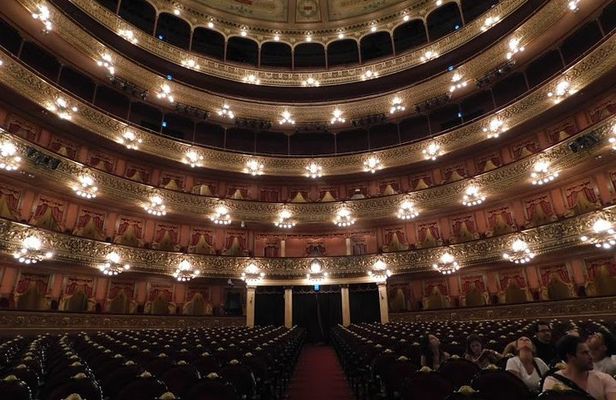 Premium City Tour with visit to Teatro Colon in Buenos Aires