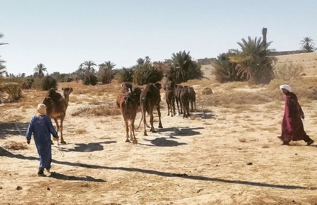 11 Days 10 Nights Ouzoud_Marrakech_Desert_Fez_Chouen_Casablanca