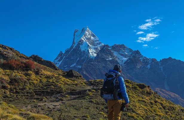 Mardi Trek