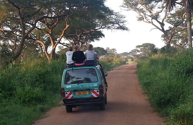 Murchison Falls Day Safari (Game Drive & Falls)