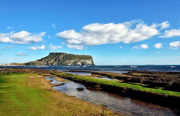 Full Day Customizable Jeju Private Tour with licensed tour guide
