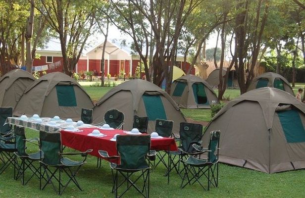2 Days Guided Tour in Tarangire and Ngorongoro Crater