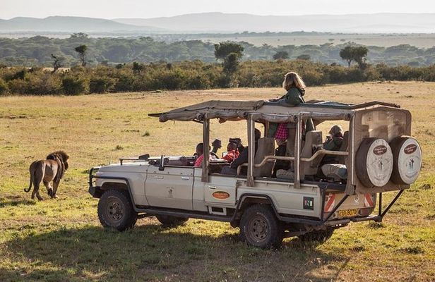 Cape Town 2-Days Overnight Aquilla Safari game Reserve 
