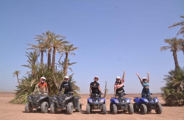 Enjoy a thrilling camel ride through the Palm Grove of Marrakech