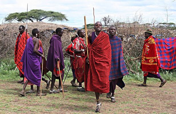 2 Days Private Tour to Ngorongoro and Tarangire National Park