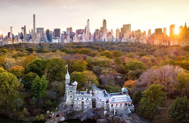 Private Central Park Walking Guided Tour