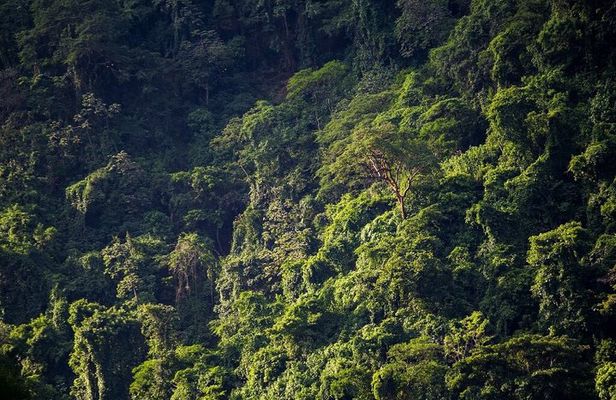 El Chocoyero El Brujo Nature Reserve Hike from Managua