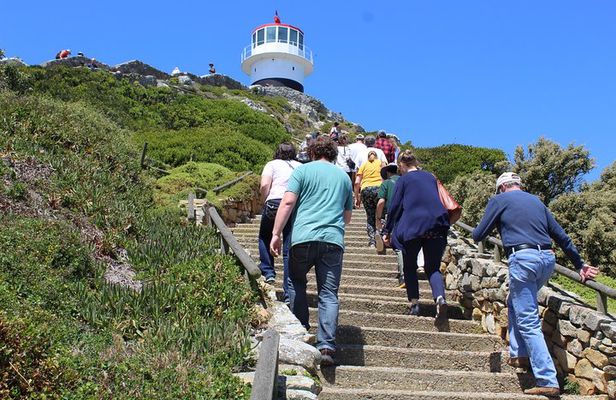 Full-Day Tour to Cape Point and Cape of Good Hope