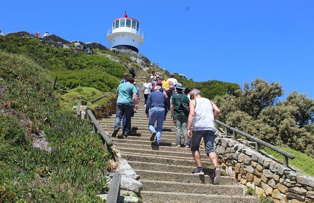 Private Day Tour to Cape of Good Hope Penguins Inc Entry Tickets from Cape Town