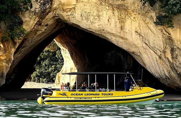 2 Hour Cathedral Cove and Volcanic Coast Cruise with Shade Canopy