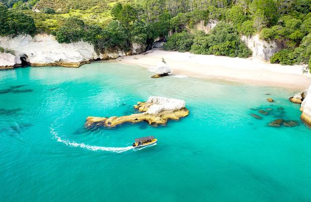 2 Hour Cathedral Cove and Volcanic Coast Cruise with Shade Canopy