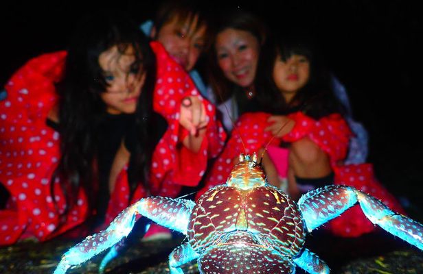 Okinawa Miyako Star Gazing & Subtropical Jungle Night Tour