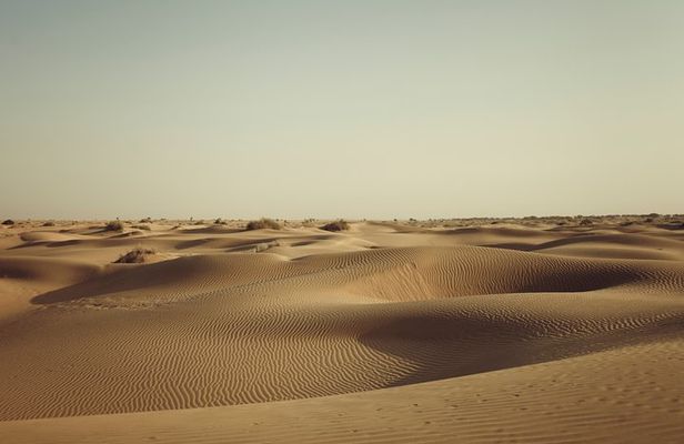 6 Days Rajasthan Desert Private Tour from Jodhpur to Jaipur