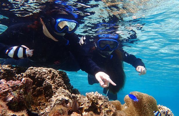Okinawa Miyako beach SUP or Canoe and sea turtle Snorkeling