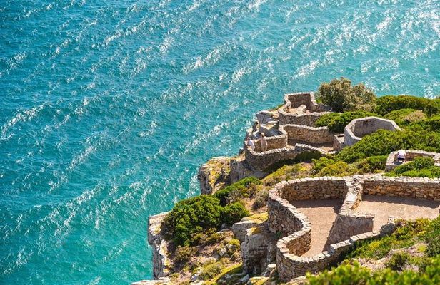 Cape Point Private Day Tour