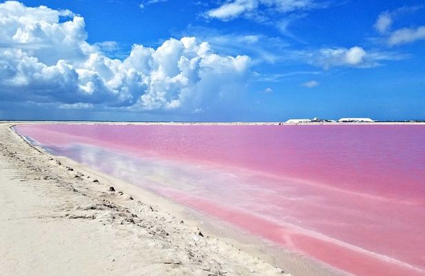 Gorgeous Natural Pink Lake, Las Coloradas Tour! From Cancun & Riviera Maya