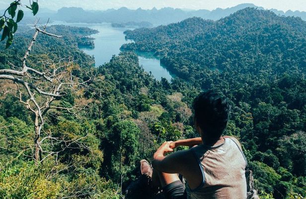 Full-Day Safari tour to Khao Sok Jungle from Phuket