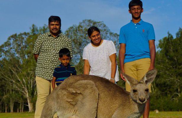 Kangaroos & Koalas in the Wild - Private Nature Experience