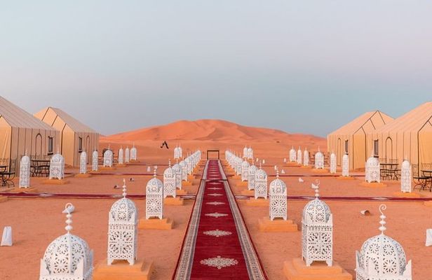 Overnight in Desert Camp with Camel Ride All meals &sandboarding