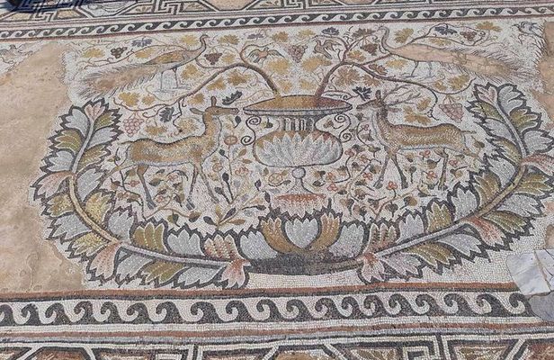 Full-Day Private Tour to Ohrid and Bitola from Skopje