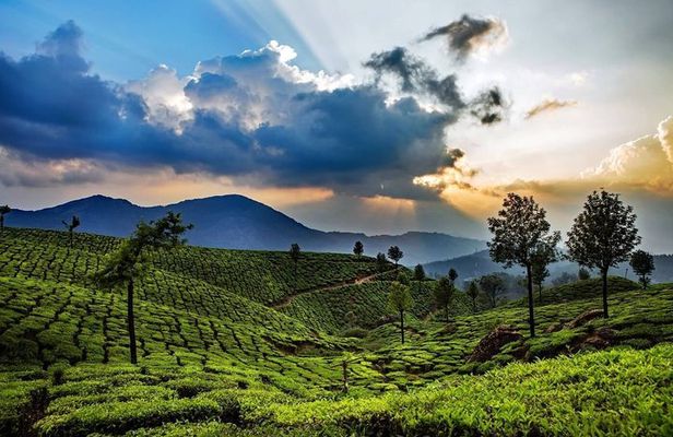 Highlights Of South India With Luxury Accomodation