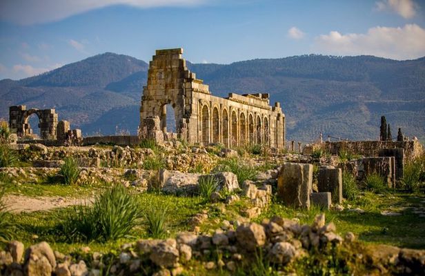 Meknes and Volubilis Full-Day Tour from Fez