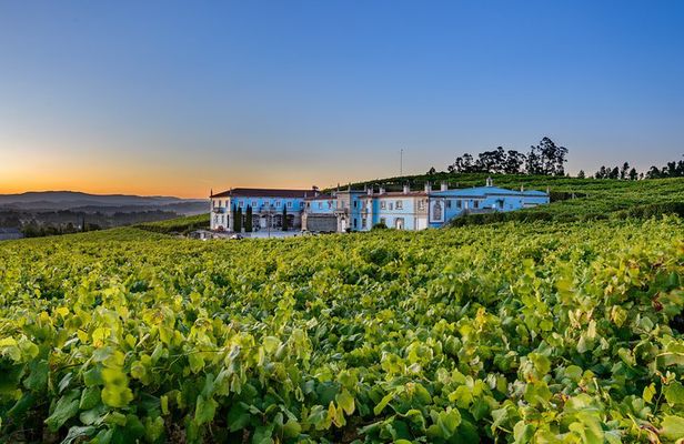 Guided tour of Bodegas Granbazán