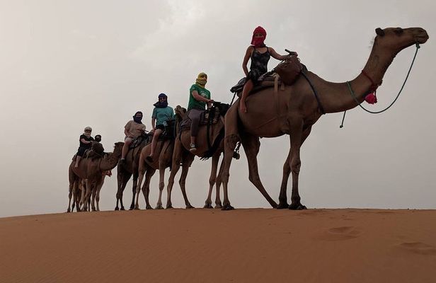 Shared Group Luxury 2-Days Desert Trip from Fes to fes
