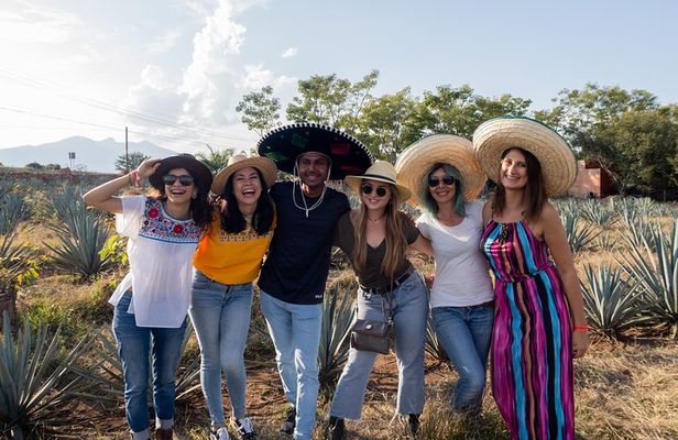 The Essence of Tequila Experience
