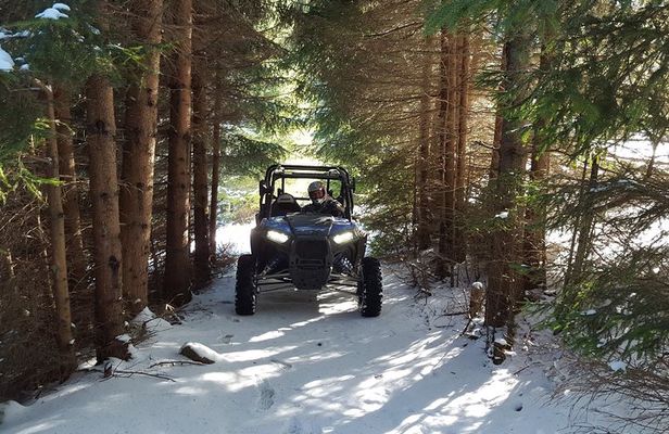 2 Hour Private Superb Buggy Adventure