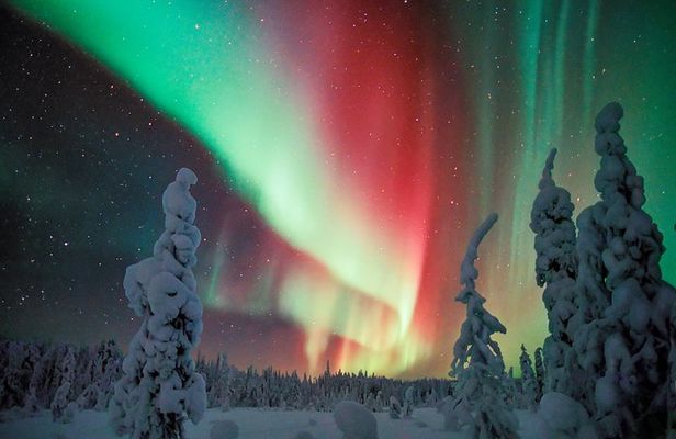 Auroras - Northern Lights Tours by Aurora Experts - Rovaniemi