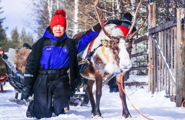 Snowmobile Safari to Reindeer Farm - Saariselkä