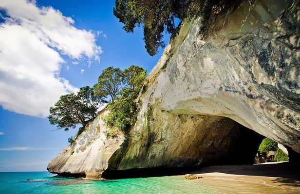 Coromandel Coastal Experience - Small Group Tour from Auckland