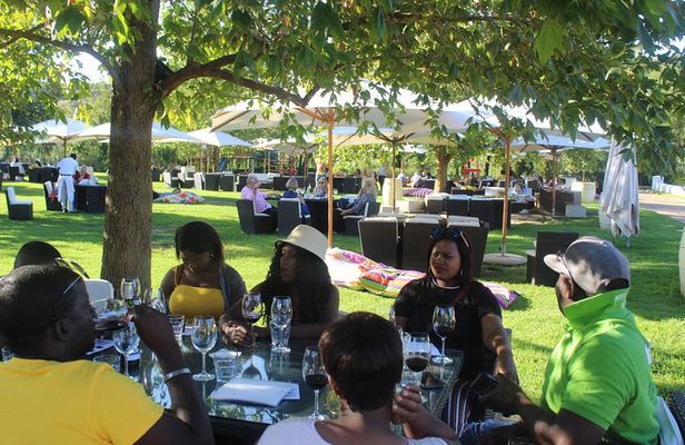 Private Visit To Constantia Wineries + Kirstenbosch Incl tickets