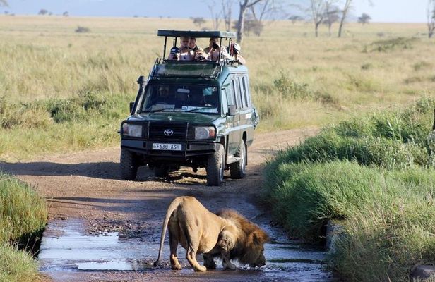 3-Day Masai Mara Luxury Safari on 4x4 Land Cruiser