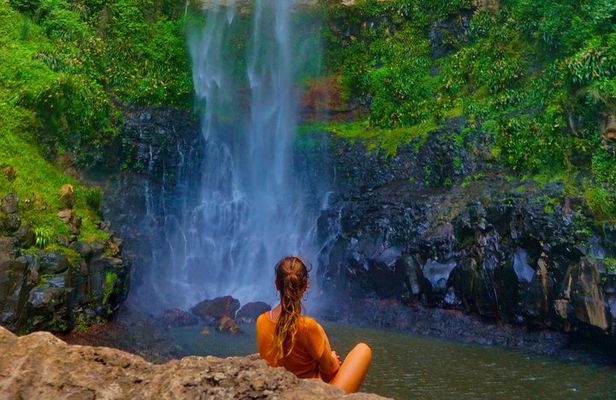 Private Rainforest & Wildlife Tour - Build Your Own Experience