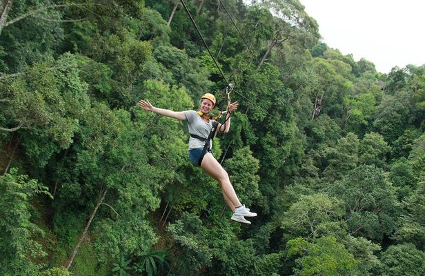 Flight of the Phoenix: Zipline Experience